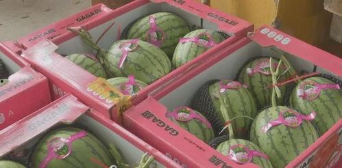 娱乐吃瓜君刷礼物,揭秘明星背后的奢华生活  第1张