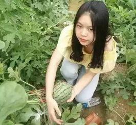 落梦楠娱乐吃瓜,揭秘娱乐圈最新吃瓜事件  第3张 落梦楠娱乐吃瓜,揭秘娱乐圈最新吃瓜事件  第3张