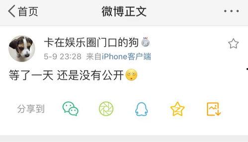 娱乐吃瓜爆料营销号,揭秘明星背后的那些事儿  第3张