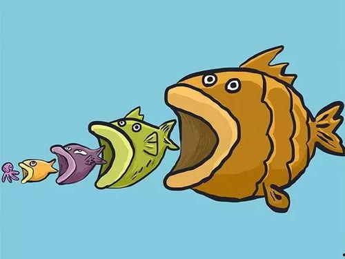 娱乐吃瓜酱可爱小鱼,可爱小鱼带你畅游娱乐圈 第3张 娱乐吃瓜酱可爱小鱼,可爱小鱼带你畅游娱乐圈 第3张