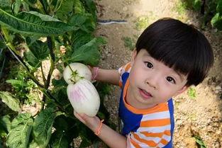 娱乐吃瓜酱农村小名,一场别开生面的乡村趣味故事 第2张 娱乐吃瓜酱农村小名,一场别开生面的乡村趣味故事 第2张