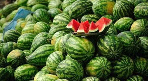 娱乐吃瓜酱农村小名,一场别开生面的乡村趣味故事 第3张 娱乐吃瓜酱农村小名,一场别开生面的乡村趣味故事 第3张