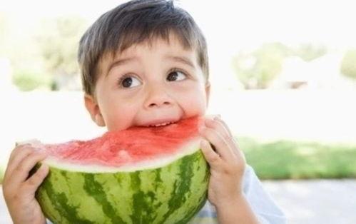 娱乐吃瓜君小团团,娱乐吃瓜界的“瓜王”传奇 第2张 娱乐吃瓜君小团团,娱乐吃瓜界的“瓜王”传奇 第2张