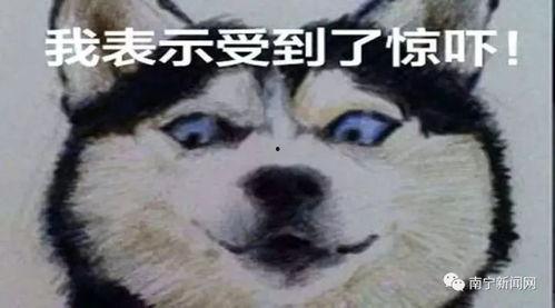 娱乐吃瓜酱偷电瓶,娱乐吃瓜酱的惊险一幕 第3张 娱乐吃瓜酱偷电瓶,娱乐吃瓜酱的惊险一幕 第3张