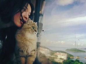 娱乐吃瓜君与猫,猫与君揭秘娱乐圈幕后大佬顾星时传奇故事 第3张 娱乐吃瓜君与猫,猫与君揭秘娱乐圈幕后大佬顾星时传奇故事 第3张