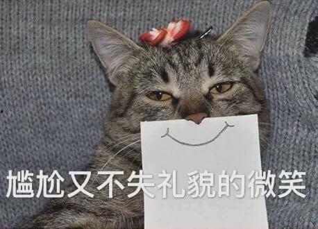 娱乐吃瓜君猫爷,从模特界神级教父到网络红人,他的猫步引领潮流 第2张 娱乐吃瓜君猫爷,从模特界神级教父到网络红人,他的猫步引领潮流 第2张