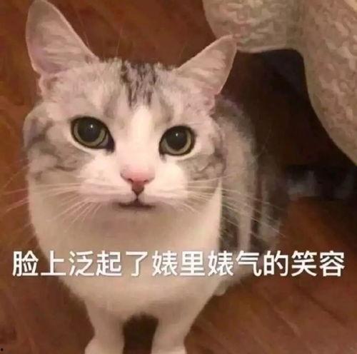 娱乐吃瓜君猫爷,从模特界神级教父到网络红人,他的猫步引领潮流 第3张 娱乐吃瓜君猫爷,从模特界神级教父到网络红人,他的猫步引领潮流 第3张