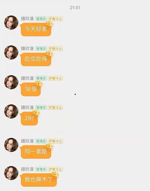 娱乐吃瓜对标账号,热门账号背后的故事与策略