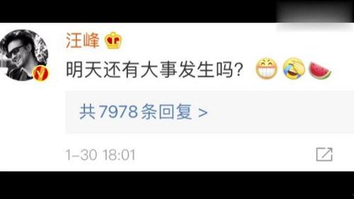 吃瓜娱乐圈语音,幕后真相与明星隐私曝光  第3张