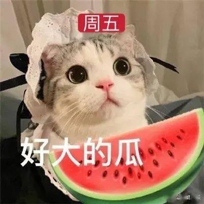 娱乐搞笑吃瓜群名字,揭秘娱乐搞笑吃瓜群名背后的欢乐故事
