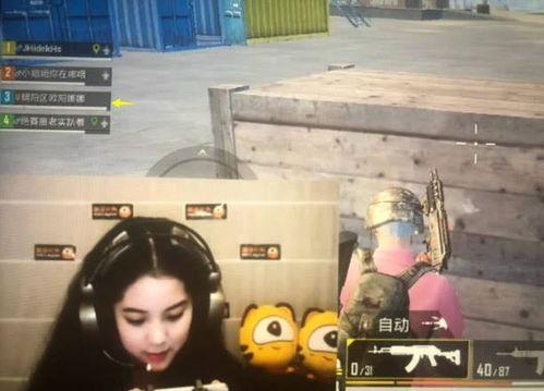 娱乐吃瓜欧阳娜娜视频,娱乐界新瓜来袭！  第1张