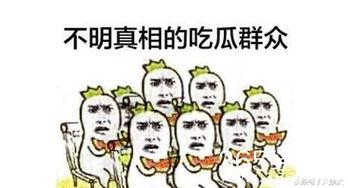 娱乐吐槽吃瓜群众,吃瓜群众热议，明星们如何应对“瓜田”风波  第3张