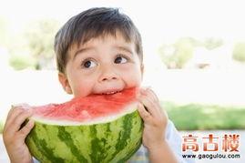 娱乐吃瓜呆头鹅,呆头鹅的趣味生活揭秘  第1张