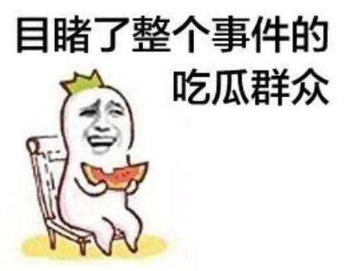 娱乐吃瓜呆头鹅,呆头鹅的趣味生活揭秘  第2张
