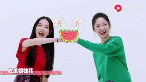 一周娱乐吃瓜,瓜田李下，明星秘闻大揭秘  第2张