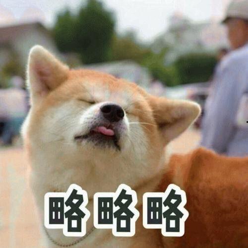 娱乐吃瓜酱小狗吉祥,小狗吉祥的欢乐日常 第3张 娱乐吃瓜酱小狗吉祥,小狗吉祥的欢乐日常 第3张