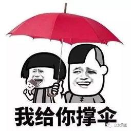 娱乐吃瓜酱老伞,揭秘老伞背后的故事与传奇  第2张