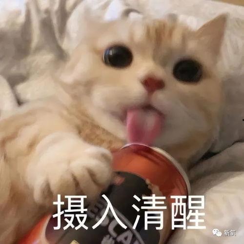 娱乐吃瓜酱不开心,揭秘背后原因  第2张