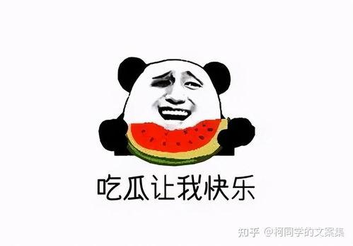娱乐吃瓜酱不开心,揭秘背后原因  第3张