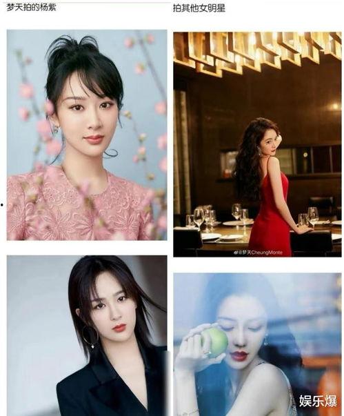 娱乐吃瓜摄影师,吃瓜摄影师背后的故事 第2张 娱乐吃瓜摄影师,吃瓜摄影师背后的故事 第2张