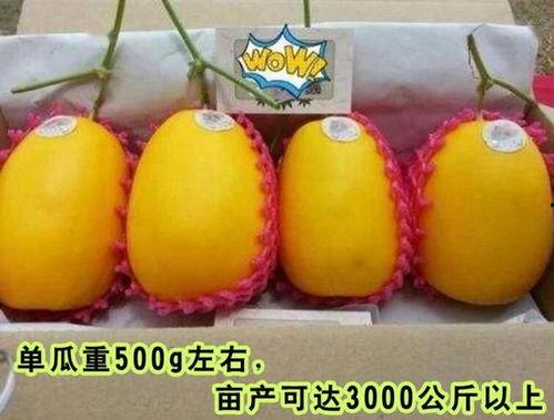 娱乐高质量吃瓜,明星们的“吃瓜”盛宴 第3张 娱乐高质量吃瓜,明星们的“吃瓜”盛宴 第3张