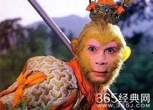 娱乐吃瓜酱孙悟空,娱乐吃瓜界的传奇英雄  第3张