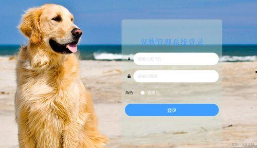 娱乐吃瓜酱宠物收养,宠物收养背后的娱乐吃瓜故事  第2张