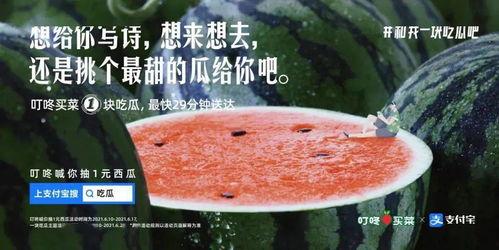 娱乐吃瓜文案图片大全,吃瓜群众必备的图文盛宴 第1张 娱乐吃瓜文案图片大全,吃瓜群众必备的图文盛宴 第1张